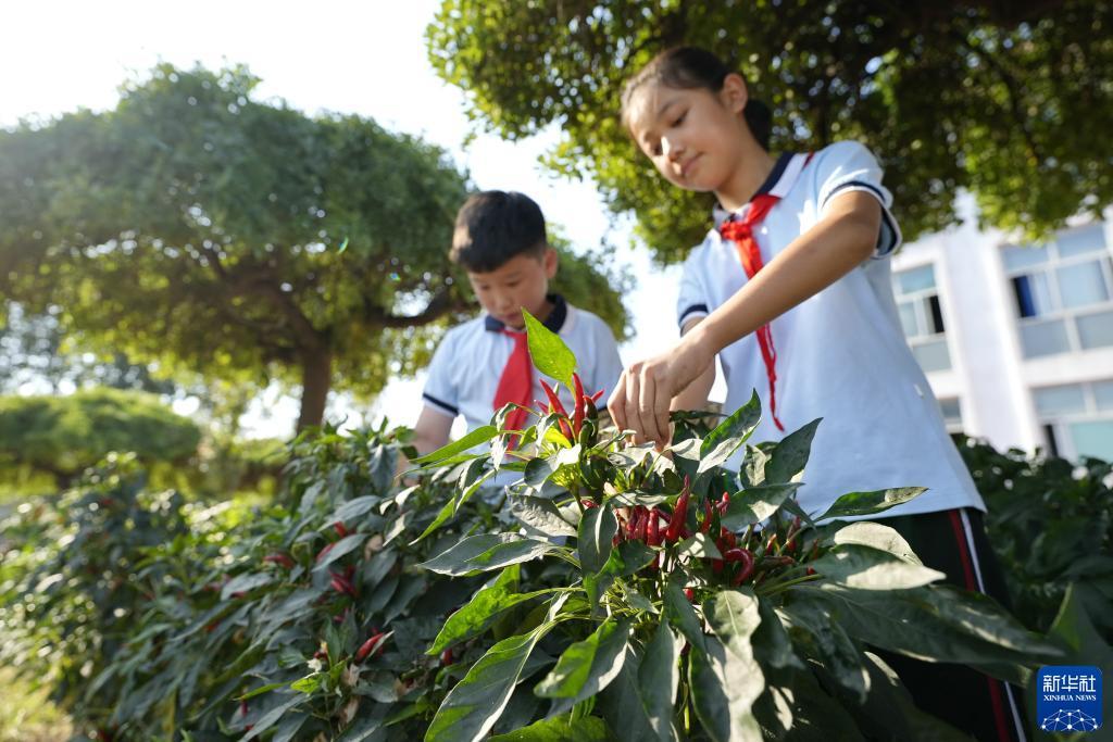 u乐平台登录注册入口